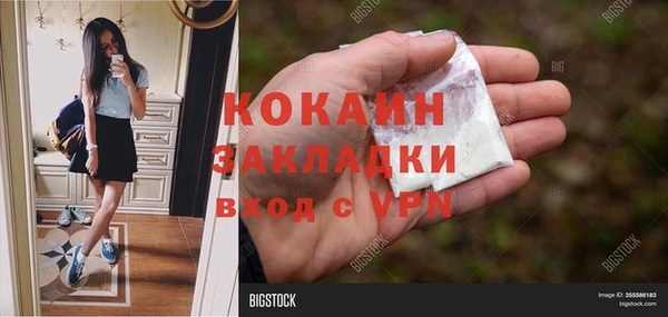 дживик Алзамай