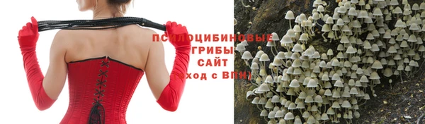 дживик Алзамай