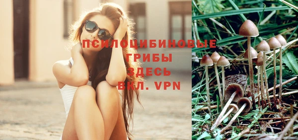 прущая мука Алексин