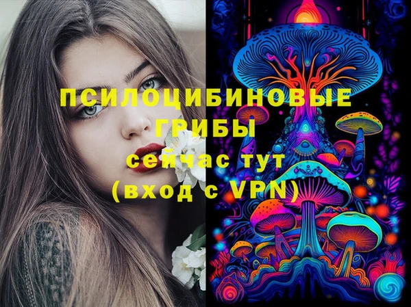 прущие крисы Дмитров