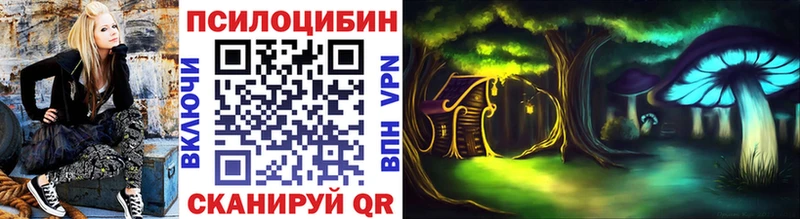 Псилоцибиновые грибы Cubensis  Ачхой-Мартан 